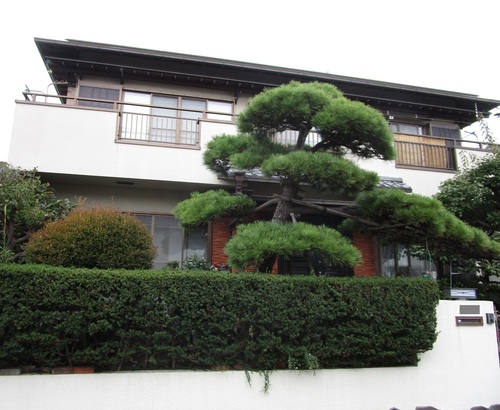 神奈川県茅ヶ崎市の物件の施工前