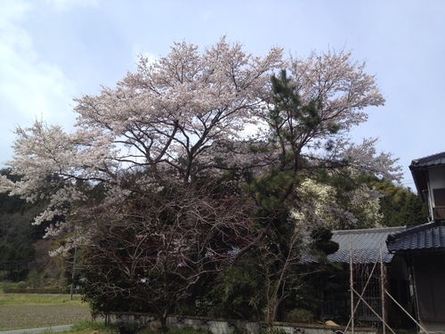 あそ塗装ロゴ