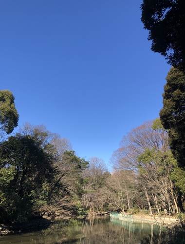初詣1