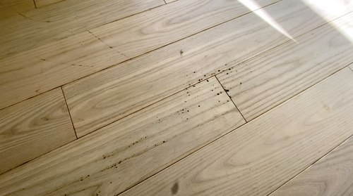 長野県北佐久郡の物件の施工前